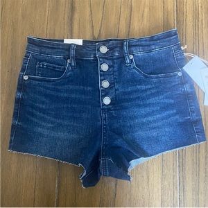 Blank NYC The Lenox exposed button fly high rise cutoff raw hem shorts